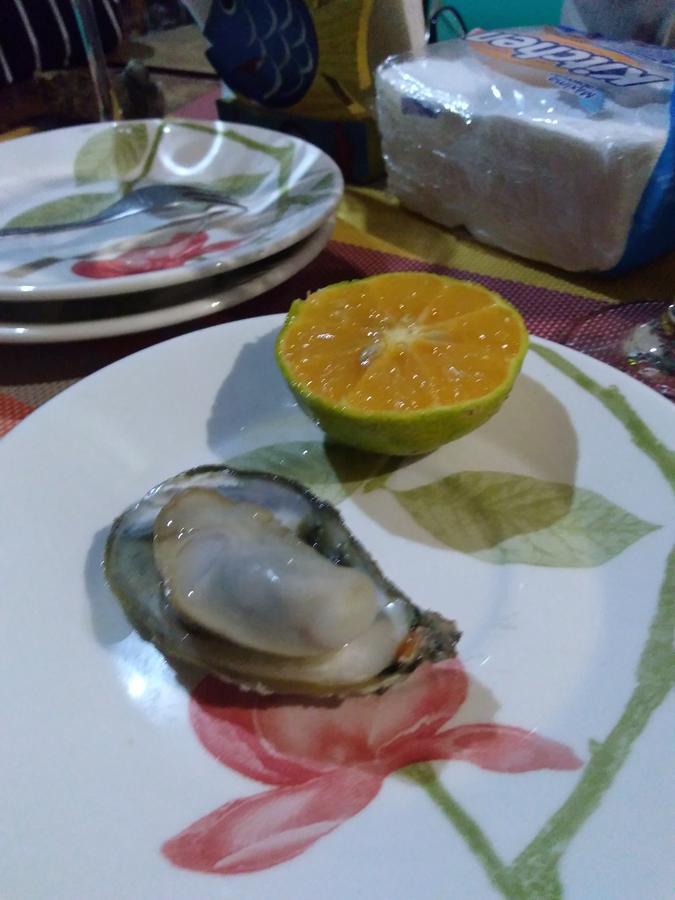 Casa Dos Acores B&B Florianópolis Eksteriør bilde